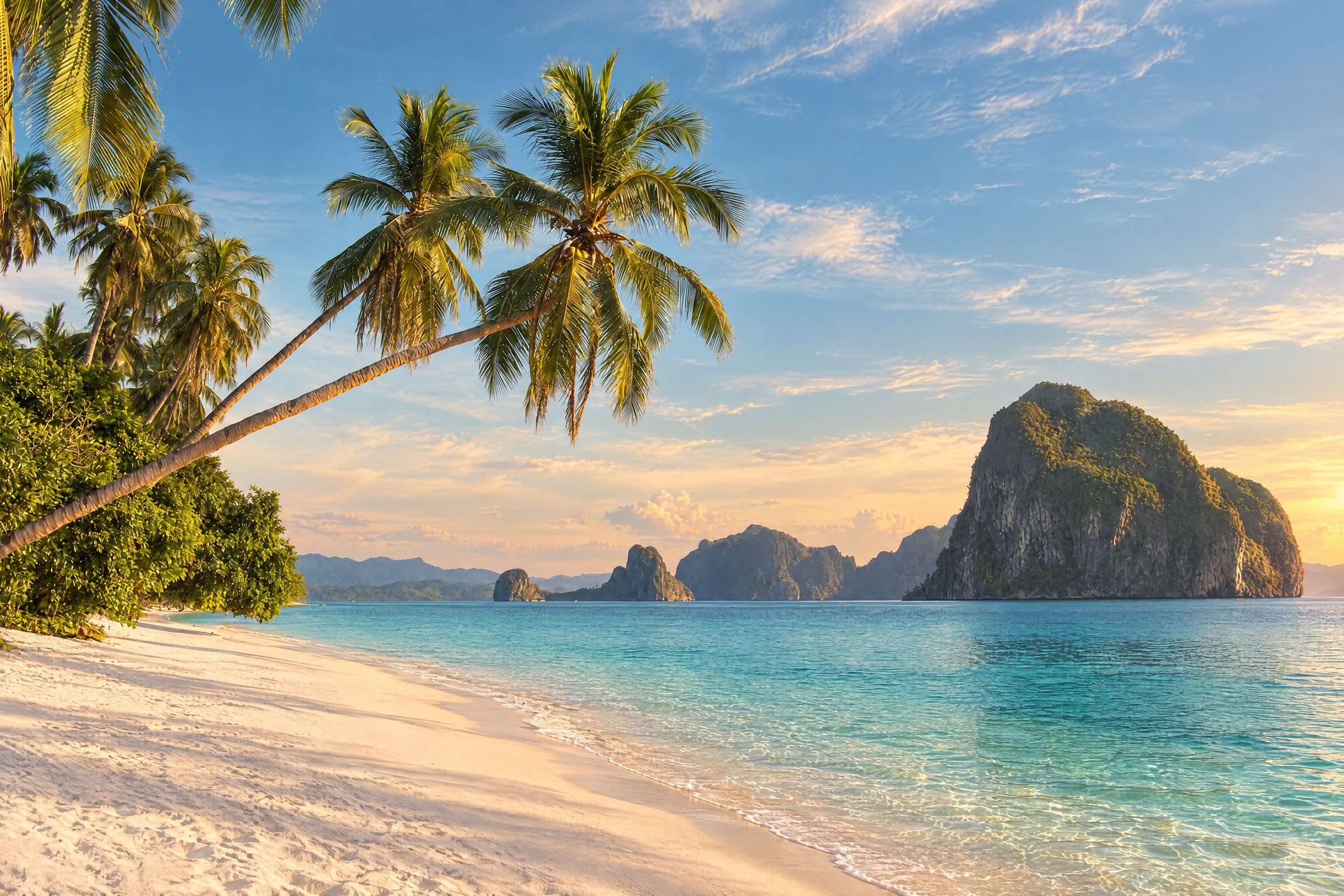 Palm-fringed white sand beach